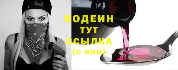 ГАЛЛЮЦИНОГЕННЫЕ ГРИБЫ Михайлов